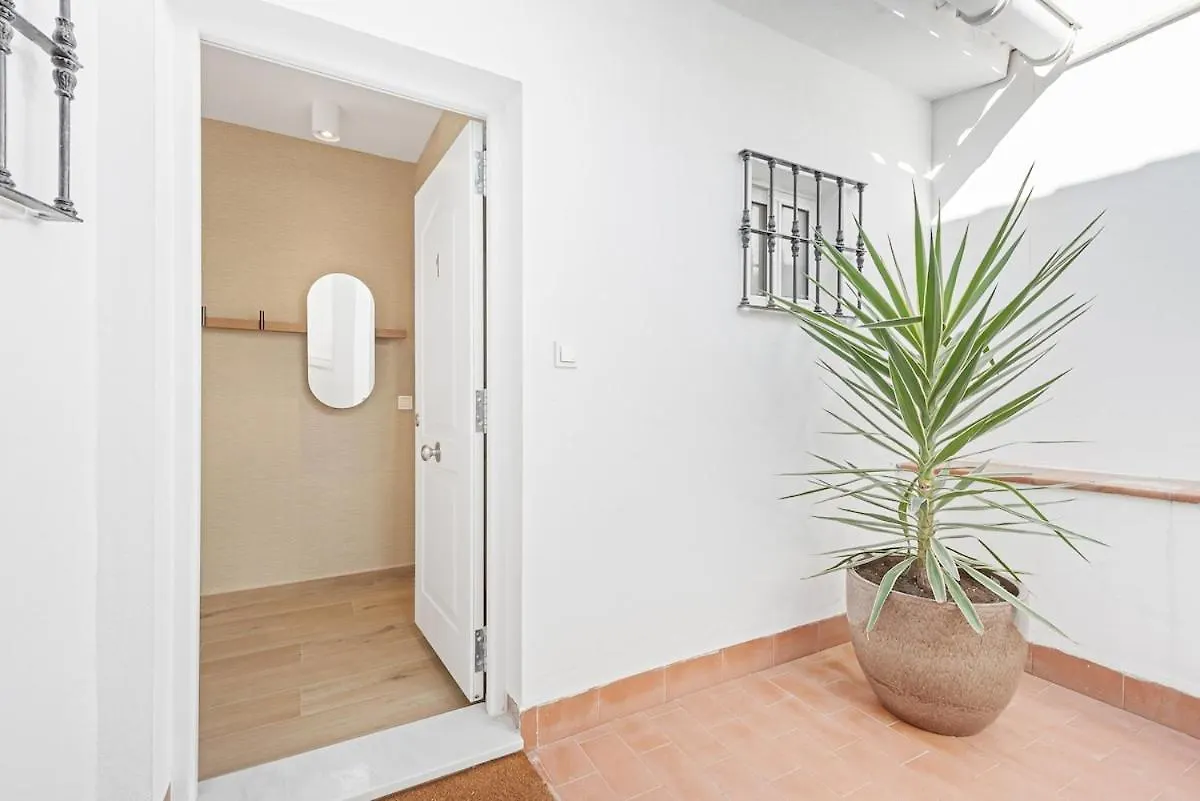 Pineapple Arriola Penthouse Apartment Malaga