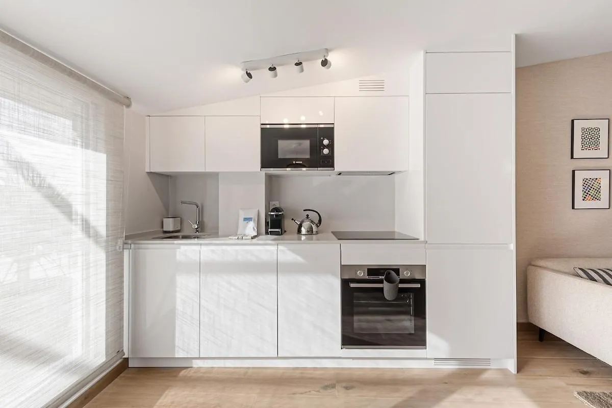 Pineapple Arriola Penthouse Apartment Malaga 0*,