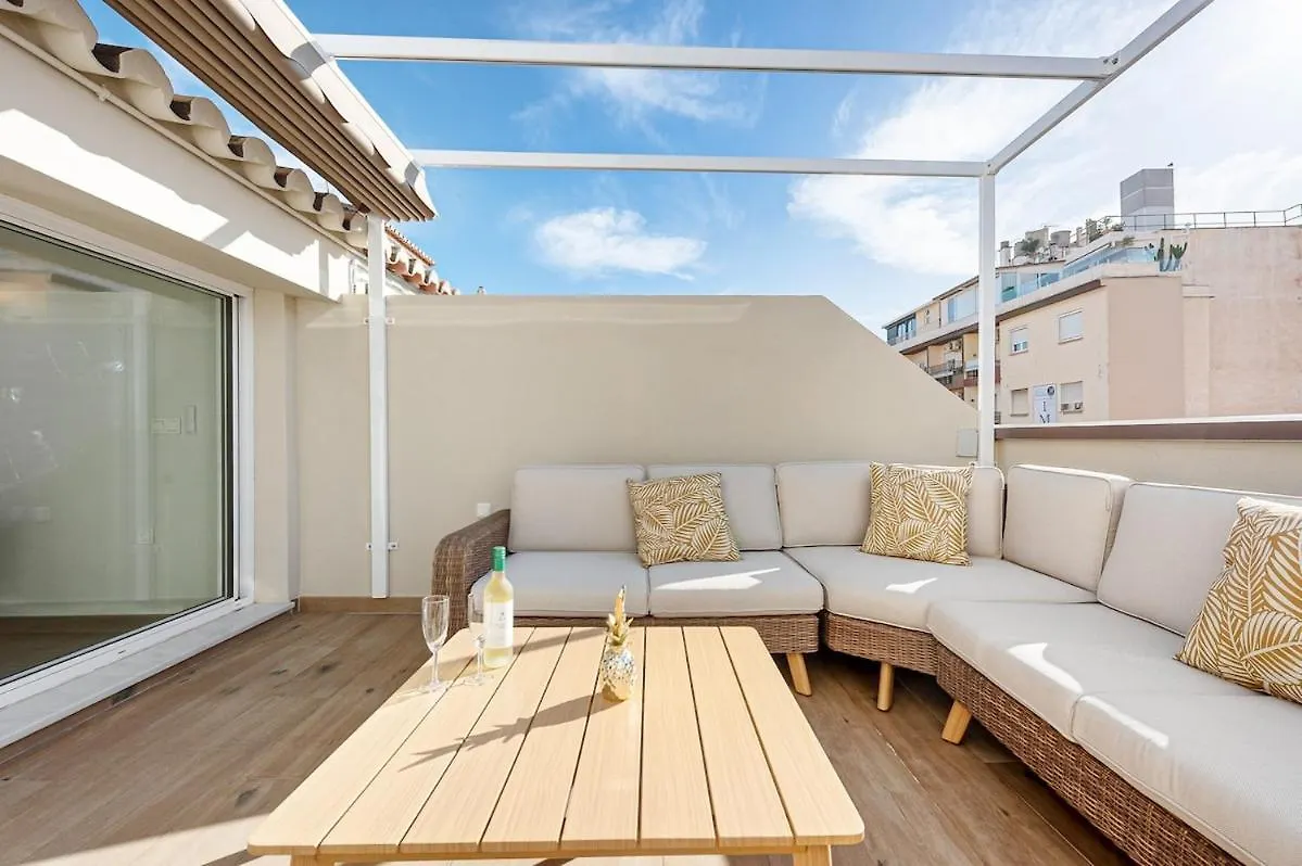 Pineapple Arriola Penthouse Apartment Malaga
